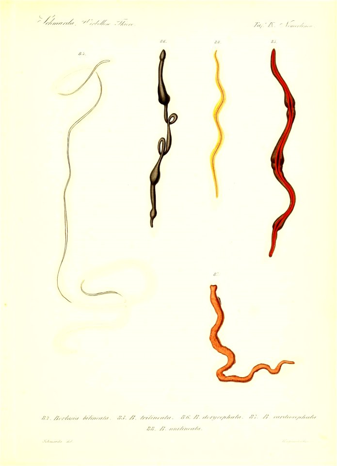 n110_w1150