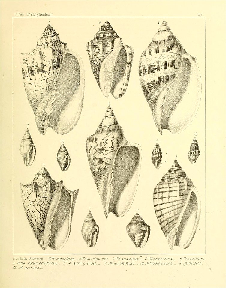 n206_w1150