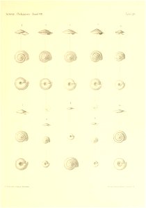 n388_w1150