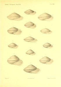 n328_w1150