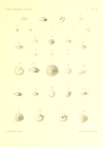 n384_w1150