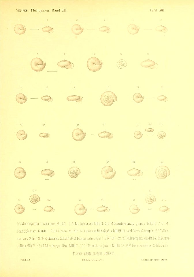 n324_w1150