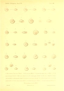 n324_w1150