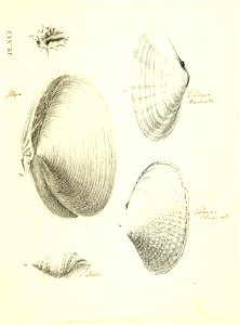 n246_w1150