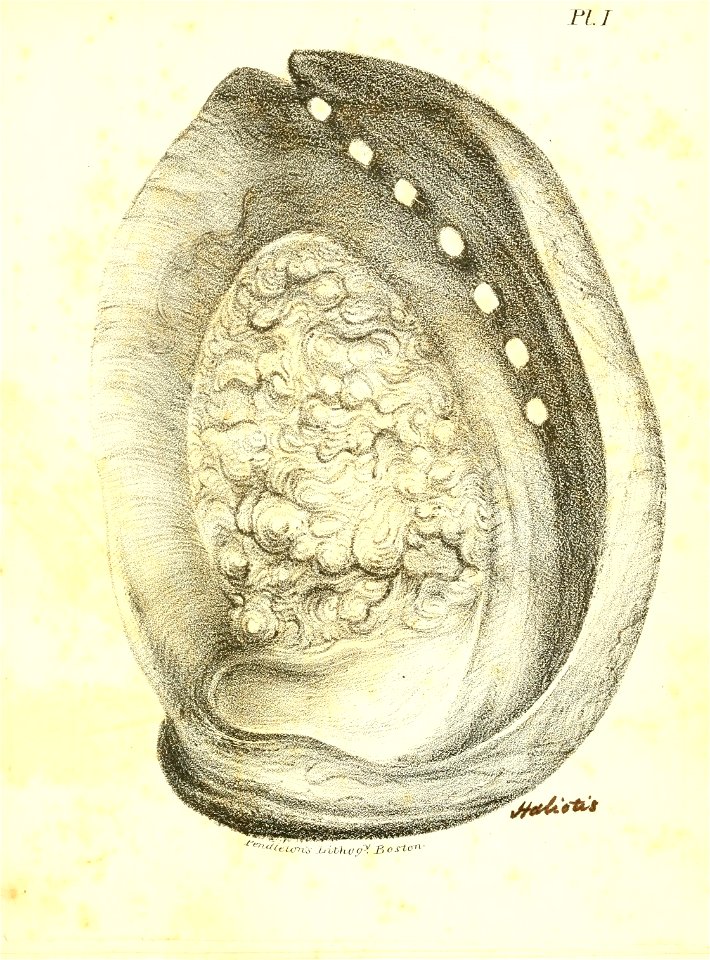 n216_w1150