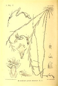 n195_w1150