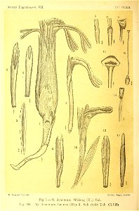n369_w1150