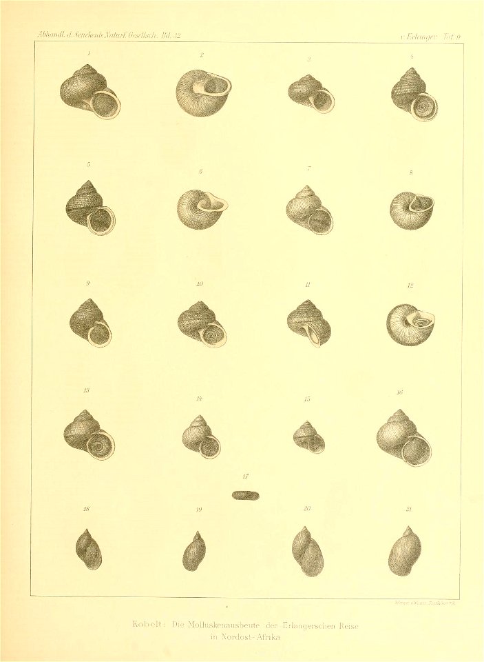 n94_w1150