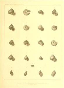 n94_w1150