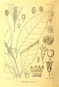 n455_w1150