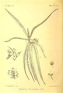 n119_w1150