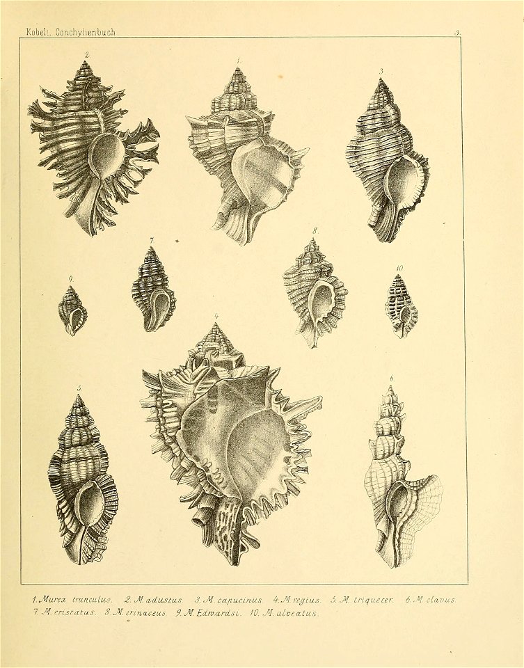 n170_w1150