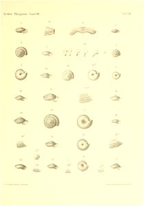 n376_w1150