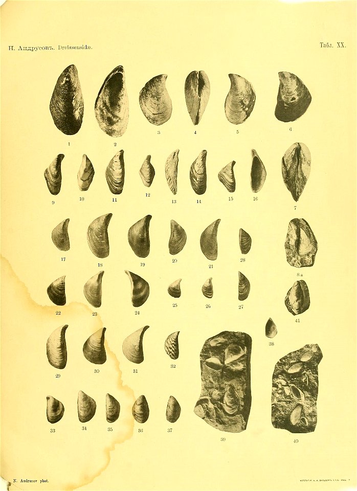 n58_w1150