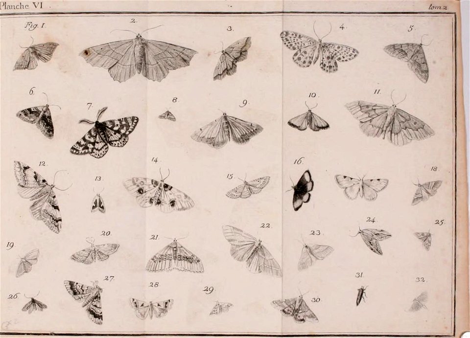 n698_w1150