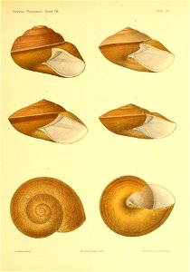 n372_w1150