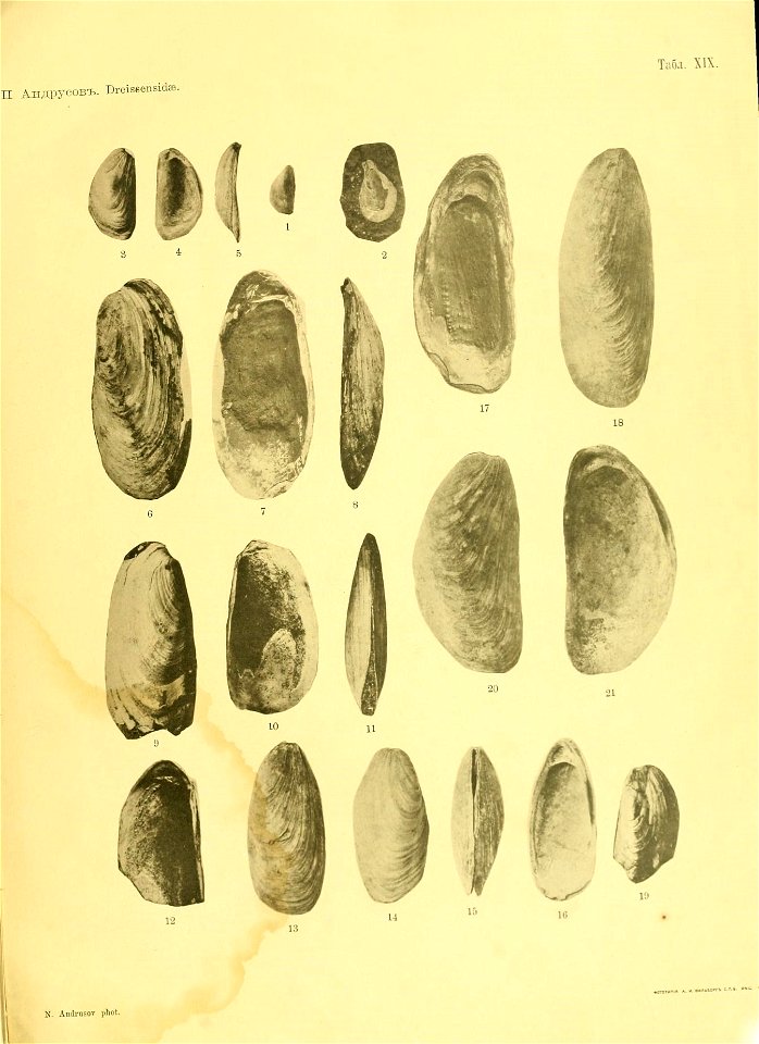 n56_w1150