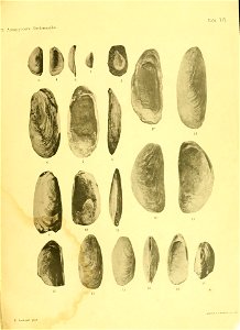 n56_w1150