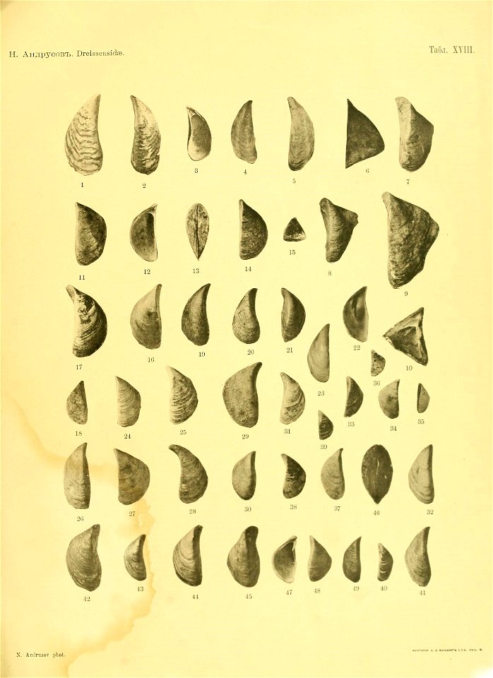 n54_w1150