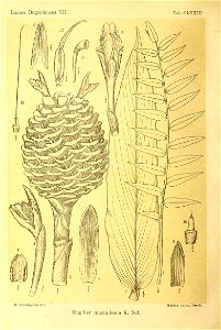 n417_w1150