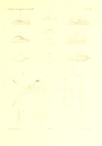 n304_w1150