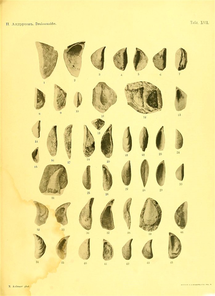 n52_w1150