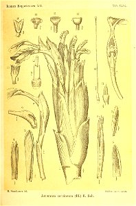 n338_w1150