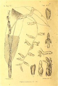 n503_w1150