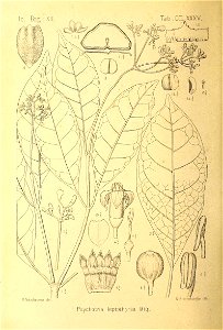 n429_w1150