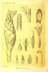 n409_w1150