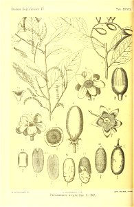 n533_w1150