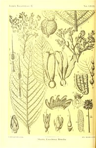 n451_w1150