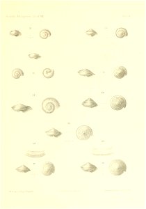 n296_w1150