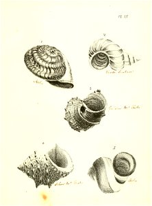n232_w1150