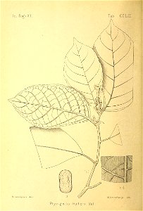 n253_w1150
