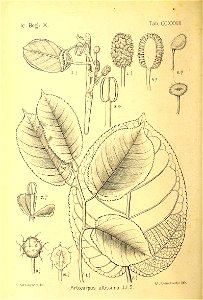n163_w1150