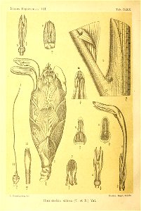 n405_w1150