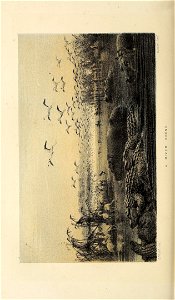n103_w1150