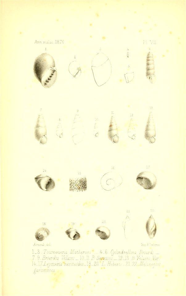 n372_w1150