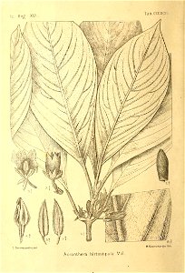 n507_w1150