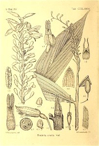 n417_w1150