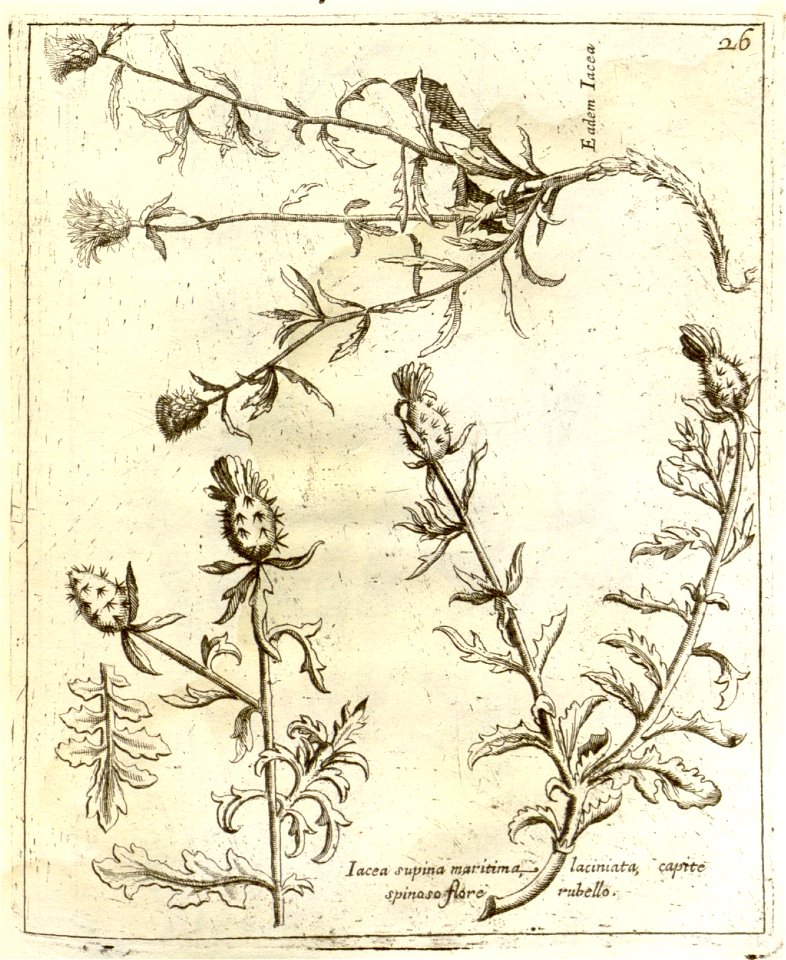 n231_w1150