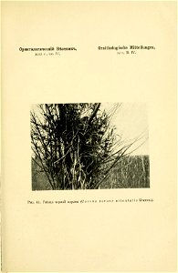 n116_w1150