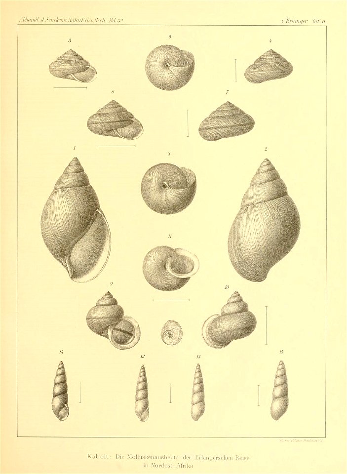 n102_w1150