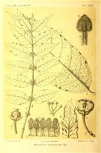 n221_w1150