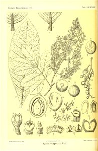 n483_w1150