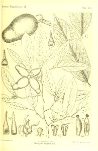 n278_w1150