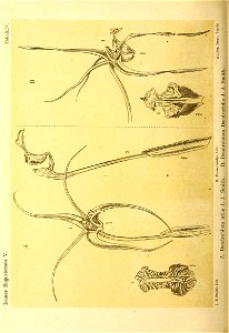 n123_w1150