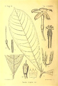 n361_w1150