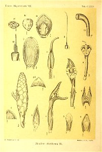 n425_w1150